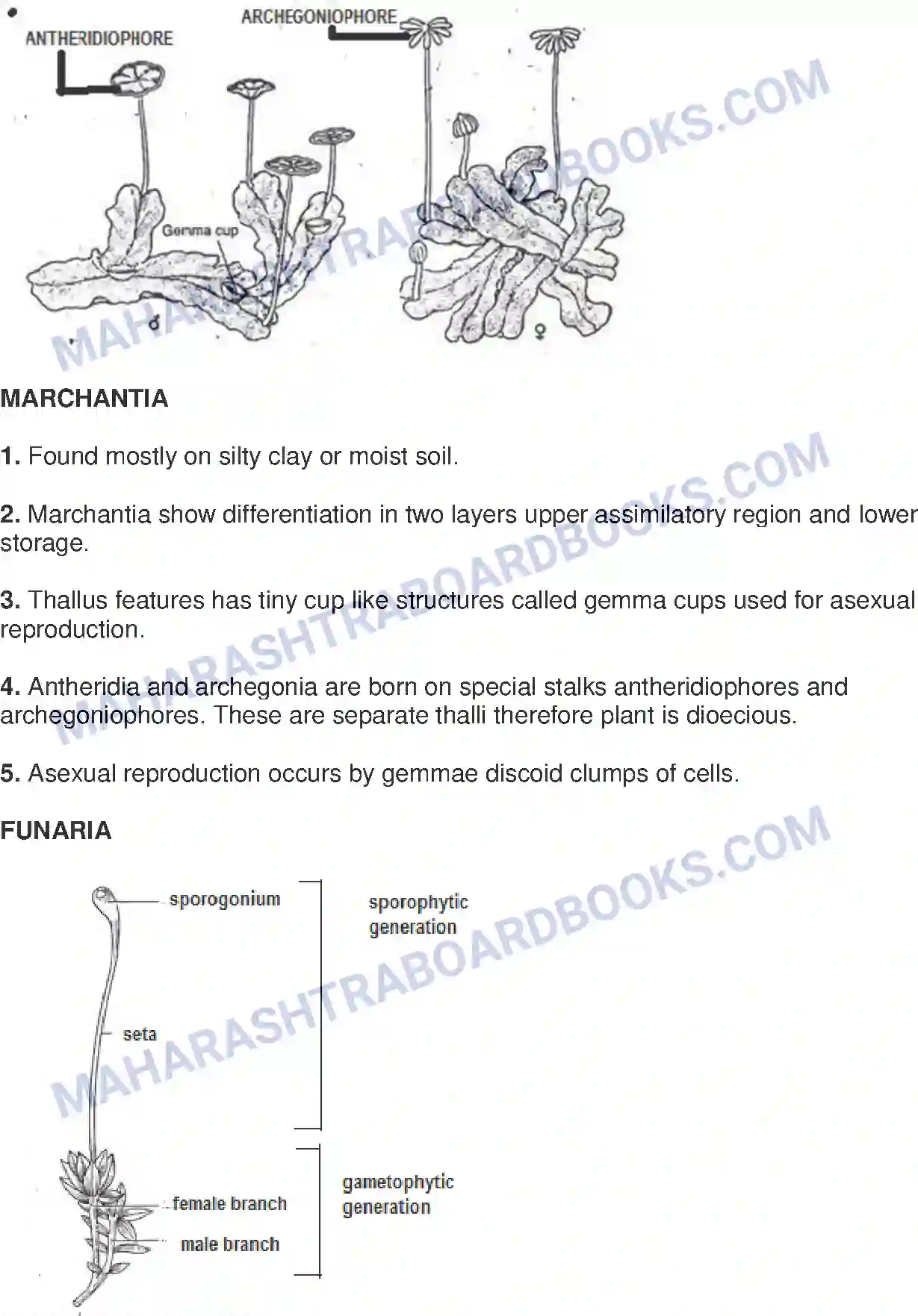 Maharashtra Board Solution class-9 Science+&+Technology+-+English+Medium Classification of Plants Image 7