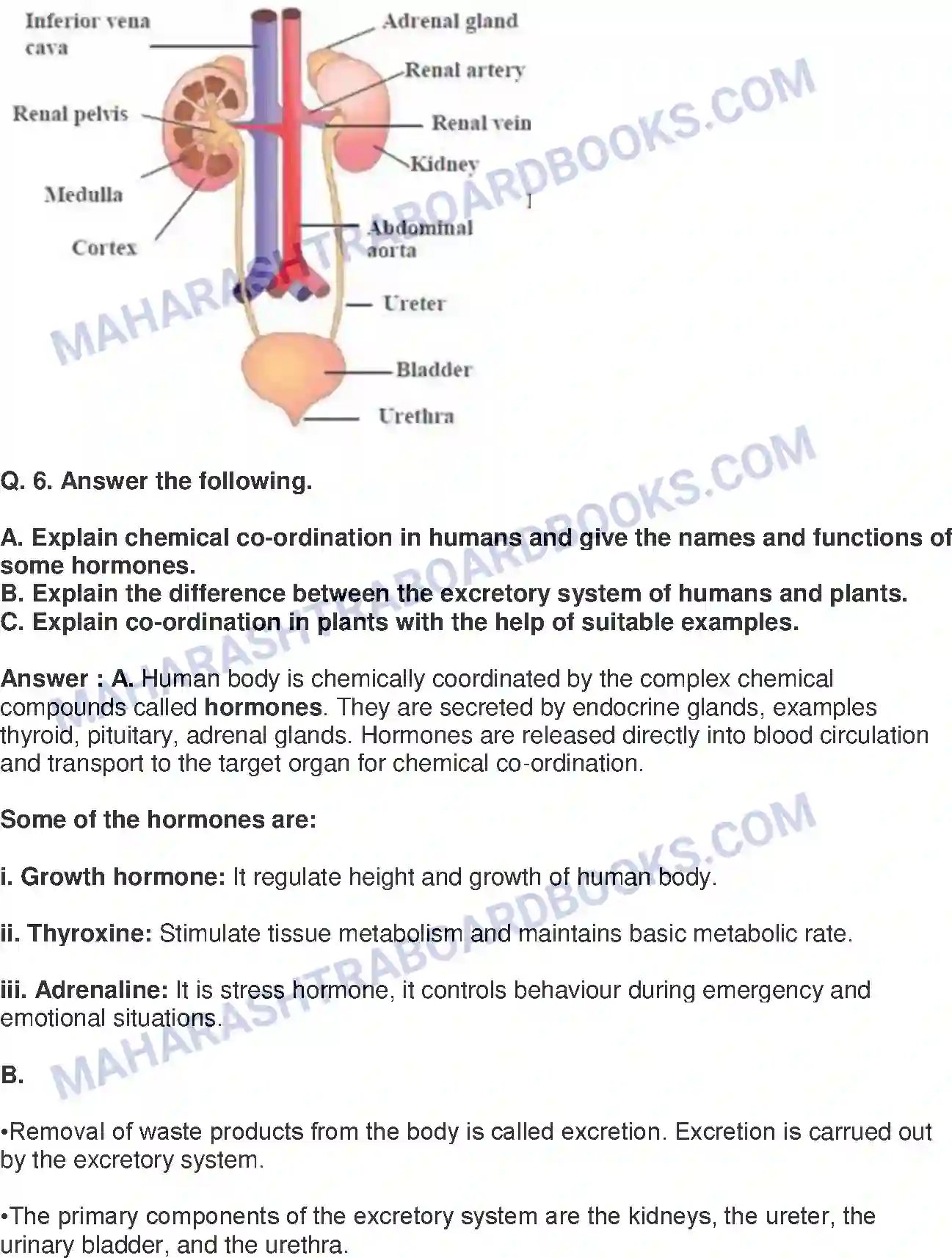 Maharashtra Board Solution Class-9 Science+&+Technology+-+English+Medium Life Processes in Living Organisms Image 6